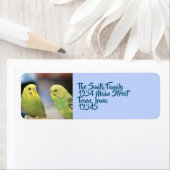 Seriöse Keets (Insitu)