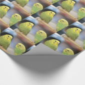 Seriöse Keets Geschenkpapier (Ecke)