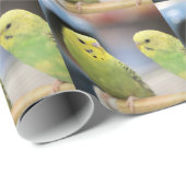 Seriöse Keets Geschenkpapier (Rolleneckpunkt)