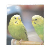 Seriöse Keets Notizblock (Vorderseite)