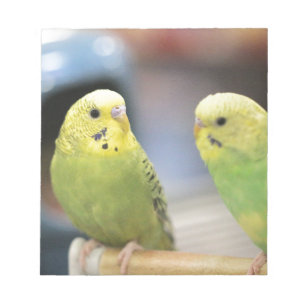 Seriöse Keets Notizblock