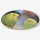 Seriöse Keets Pappteller (Schrägansicht)