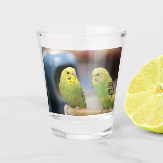Seriöse Keets Schnapsglas (Vorderseite)