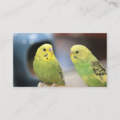 Seriöse Keets Visitenkarte (Rückseite)