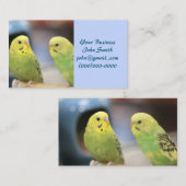 Seriöse Keets Visitenkarte (Vorne/Hinten)