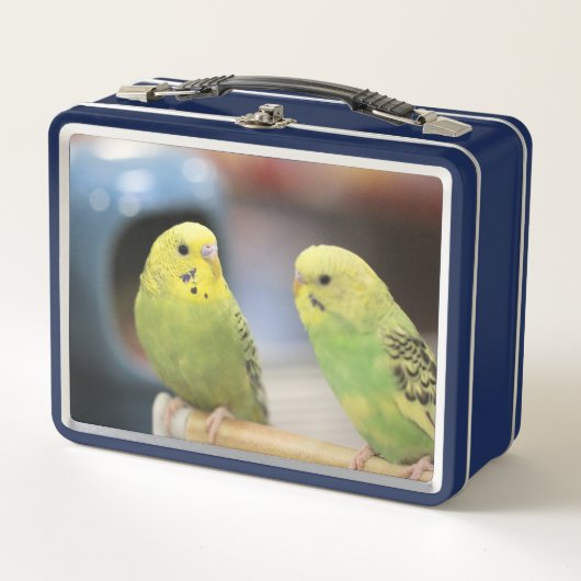 Seriöse Schlüssel Metall Brotdose (Vorderseite)