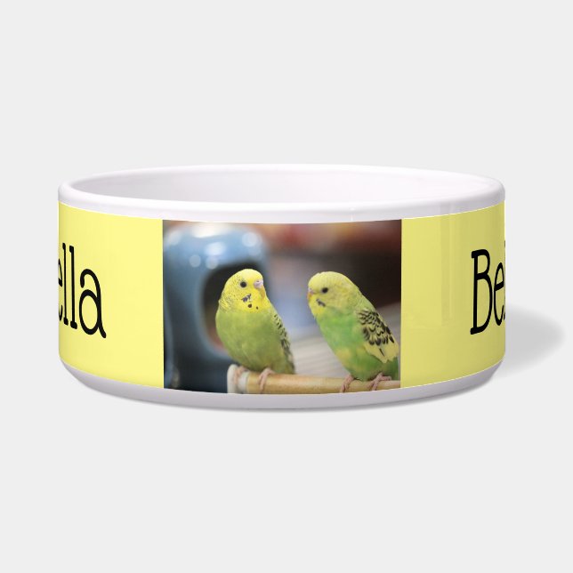 Seriöse Schlüssel Napf (Vorderseite)