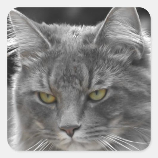 Serious Buster Quadratischer Aufkleber (Vorderseite)