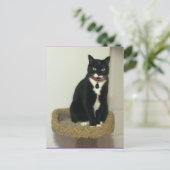 Serious Lucy Postkarte (Stehend Vorderseite)