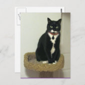 Serious Lucy Postkarte (Vorne/Hinten)