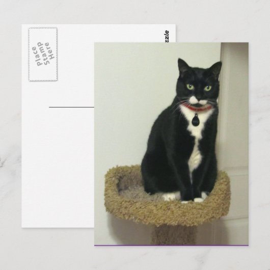 Serious Lucy Postkarte (Vorne/Hinten)