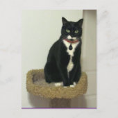 Serious Lucy Postkarte (Vorderseite)