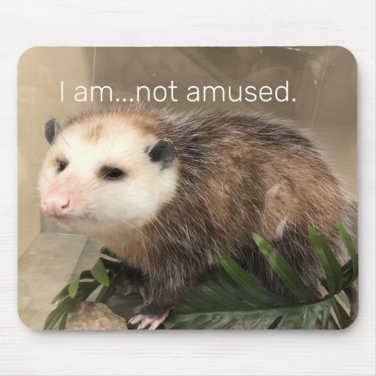 Serious possum mousepad (Vorne)