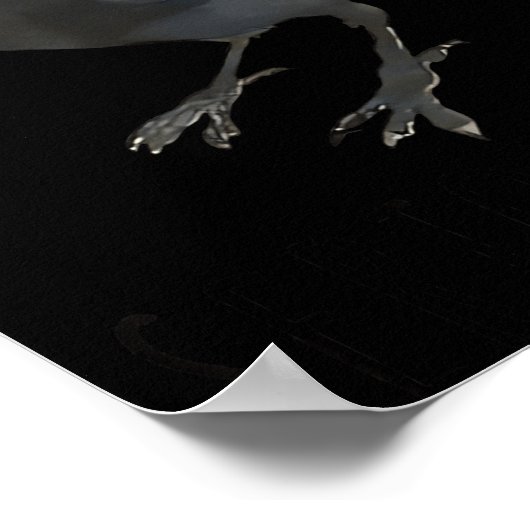 Seriously Funny Crow Sarcastic Quote Poster (Ecke)