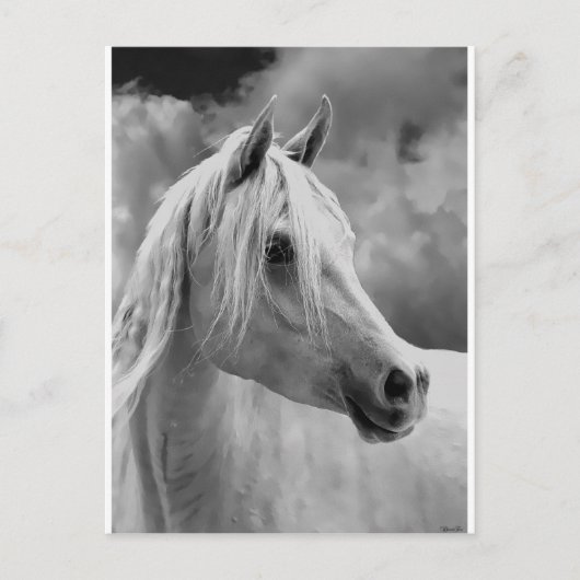 Serne-Zusammensetzung Postkarte (Vorderseite)