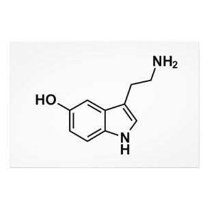 Serotonin-Symbol für chemische Formel Fotodruck