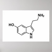Serotonin-Symbol für chemische Formel Poster (Vorne)