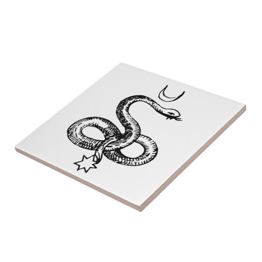 Serpent - Pagan-Symbole Fliese (Seite)
