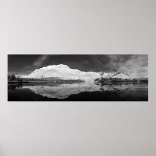 Serpentine Cove Black and White Poster