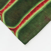 Serpentine Style: Exotic Skin Background Fleecedecke (Ecke)