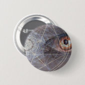 Serra Button (Vorne & Hinten)