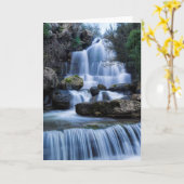 Serra DA Estrela | Parque natürlich, Portugal Karte (Gelbe Blume)