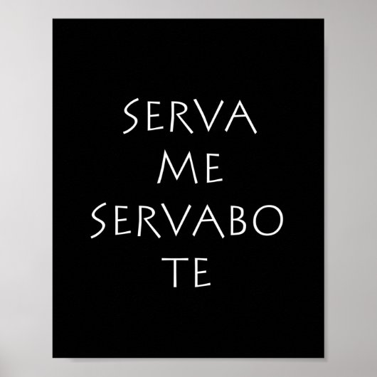 Serva me servabo te poster (Vorne)