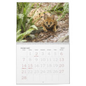 Serval 017, Serval Kalender (Feb 2027)