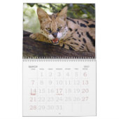 Serval 017, Serval Kalender (Mär 2027)
