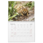 Serval 017, Serval Kalender (Feb 2026)