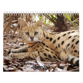 Serval 025, Serval Kalender
