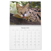 Serval 025, Serval Kalender (Jan 2026)