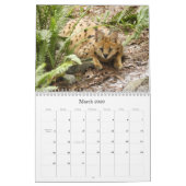 Serval 025, Serval Kalender (Mär 2026)