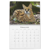 Serval 025, Serval Kalender (Feb 2026)