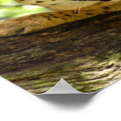 Serval 035 poster (Ecke)