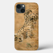 Serval Case-Mate iPhone Hülle (Rückseite)