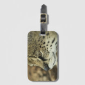 Serval Gepäckanhänger (Vorderseite Vertikal)