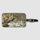 Serval Gepäckanhänger (Vorderseite (Horizontal))