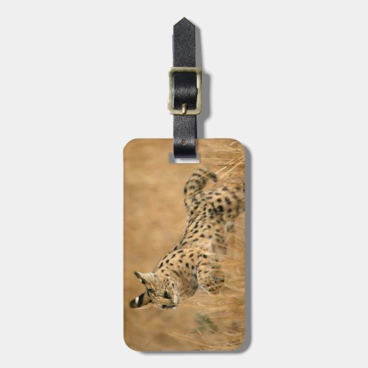 Serval Gepäckanhänger (Vorderseite vertikal)