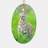 Serval im Gras Keramik Ornament (Links)