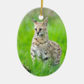 Serval im Gras Keramik Ornament (Vorne)