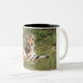 Serval-Katzen-Tasse Zweifarbige Tasse (VorderseiteRechts)