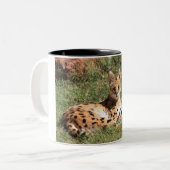 Serval-Katzen-Tasse Zweifarbige Tasse (Vorderseite Links)