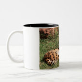 Serval-Katzen-Tasse Zweifarbige Tasse (Links)