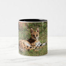 Serval-Katzen-Tasse