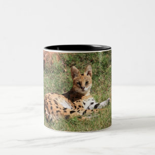 Serval-Katzen-Tasse Zweifarbige Tasse