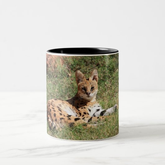 Serval-Katzen-Tasse Zweifarbige Tasse (Mittel)