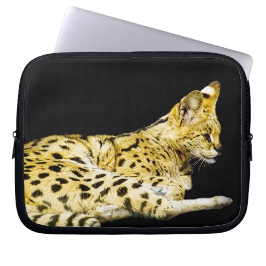 Serval Laptop Sleeve (Vorderseite)