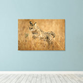 Serval Leinwanddruck (Insitu (Holzboden))