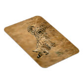Serval (Leptailurus Serval) beim Springen Magnet (Rechte Seite)